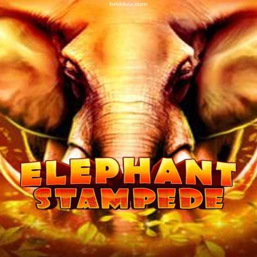 Discover the Thrills of ElephantStampede: An In-Depth Look at the Game Taking Brazil by Storm